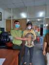 CÔNG TÁC CỨU HỘ ĐỘNG VẬT HOANG DÃ TẠI CHI CỤC KIỂM LÂM TPHCM