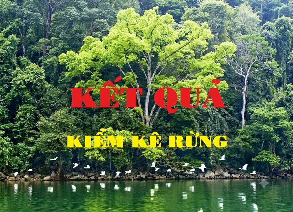 Kết quả kiểm kê rừng