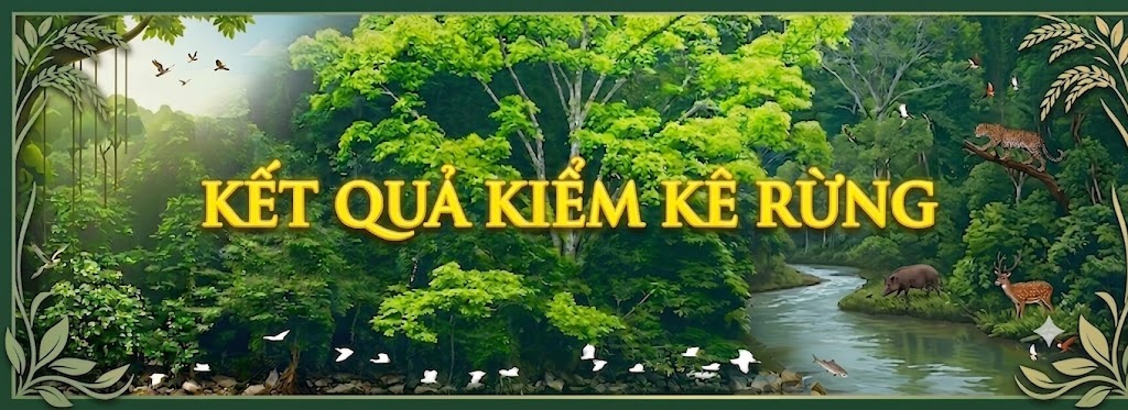 Kết quả kiểm kê rừng