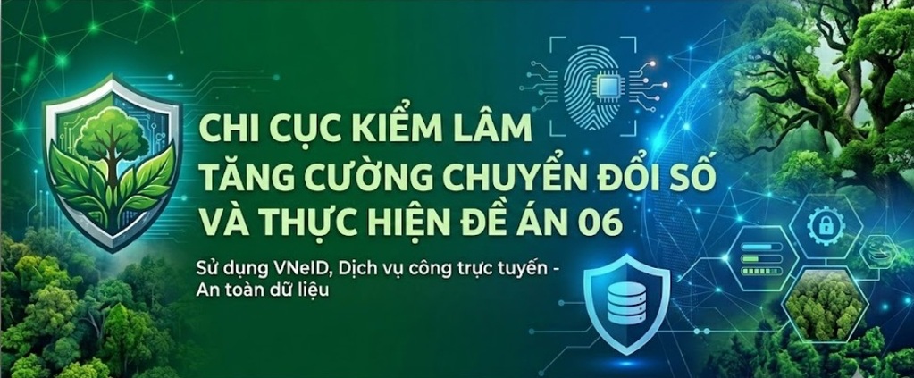 Tăng cường chuyển đổi số và thực hiện đề án 06